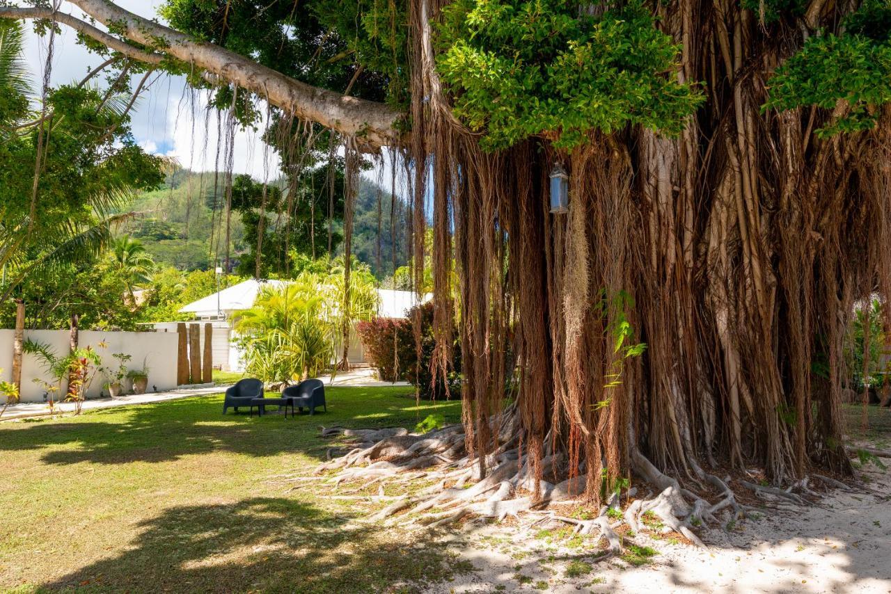 Moorea Beach Lodge Екстериор снимка