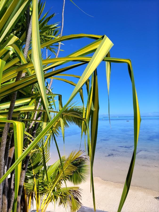 Moorea Beach Lodge Екстериор снимка